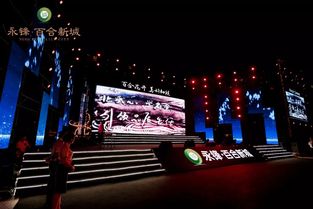 永鋒·百合新城璀璨亮相，龐龍獻(xiàn)唱引爆武城文化新篇章